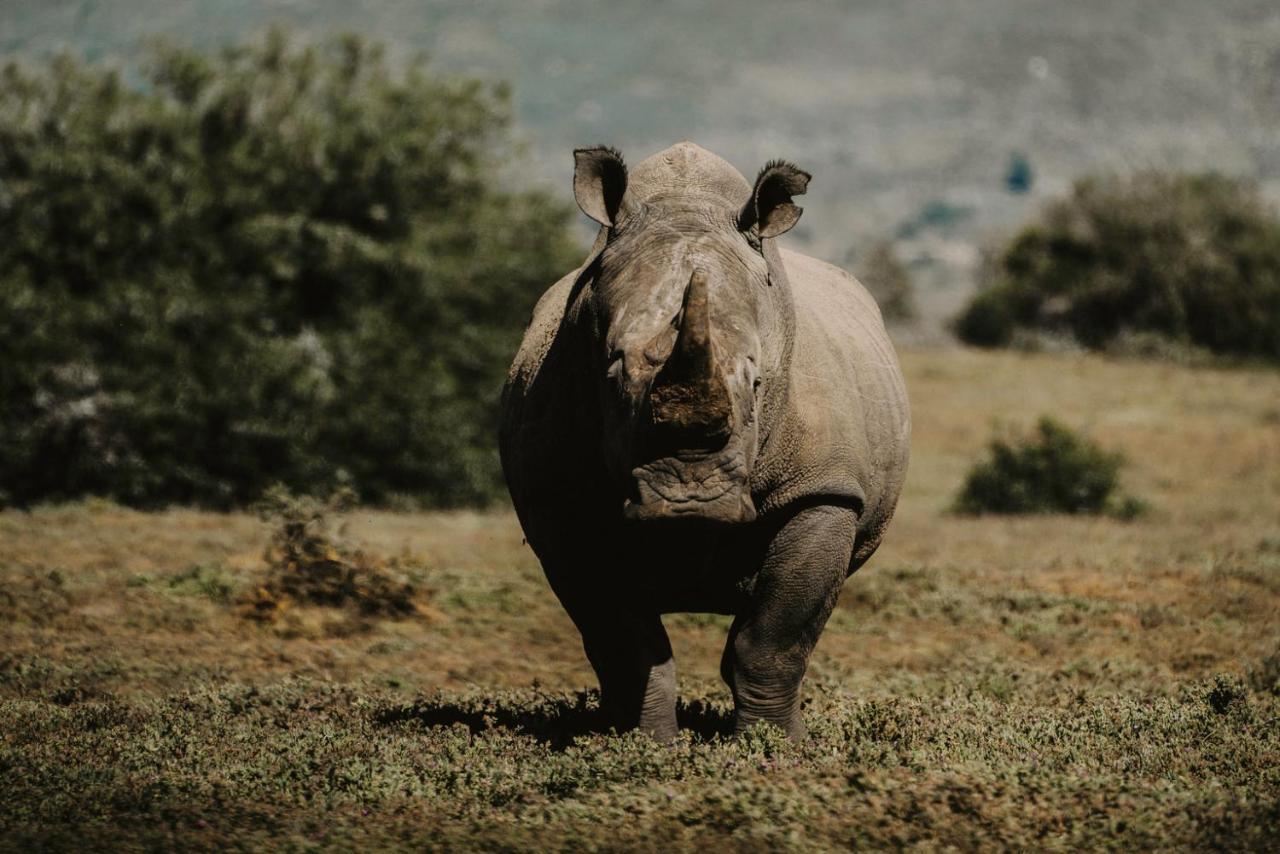 Bukela Game Lodge - Амакала-Ґейм-Резерв Екстер'єр фото