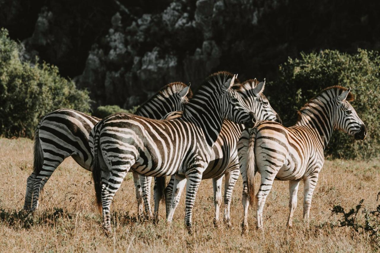 Bukela Game Lodge - Амакала-Ґейм-Резерв Екстер'єр фото