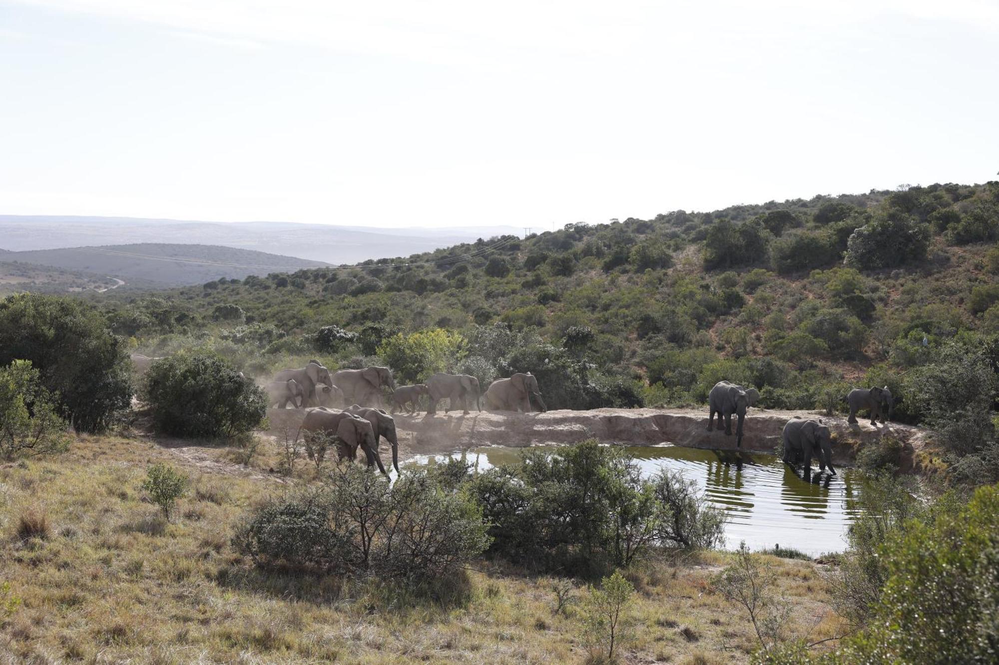 Bukela Game Lodge - Амакала-Ґейм-Резерв Екстер'єр фото