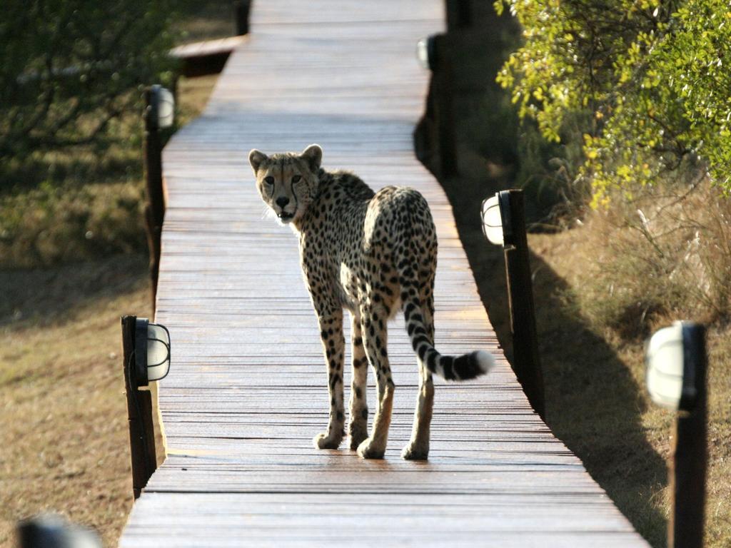 Bukela Game Lodge - Амакала-Ґейм-Резерв Екстер'єр фото